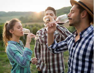 Athens Winery Bus Tour with Italian Lunch